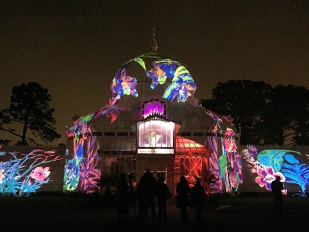 SUMMER OF LOVE AU CONSERVATORY OF FLOWERS