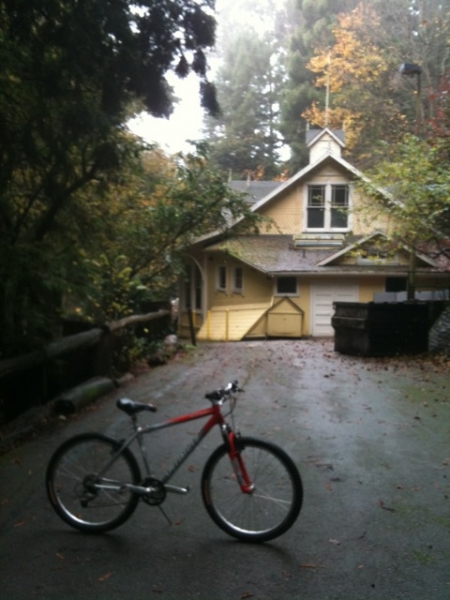 Stern grove encore...