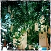Yoko Ono's Wish Tree